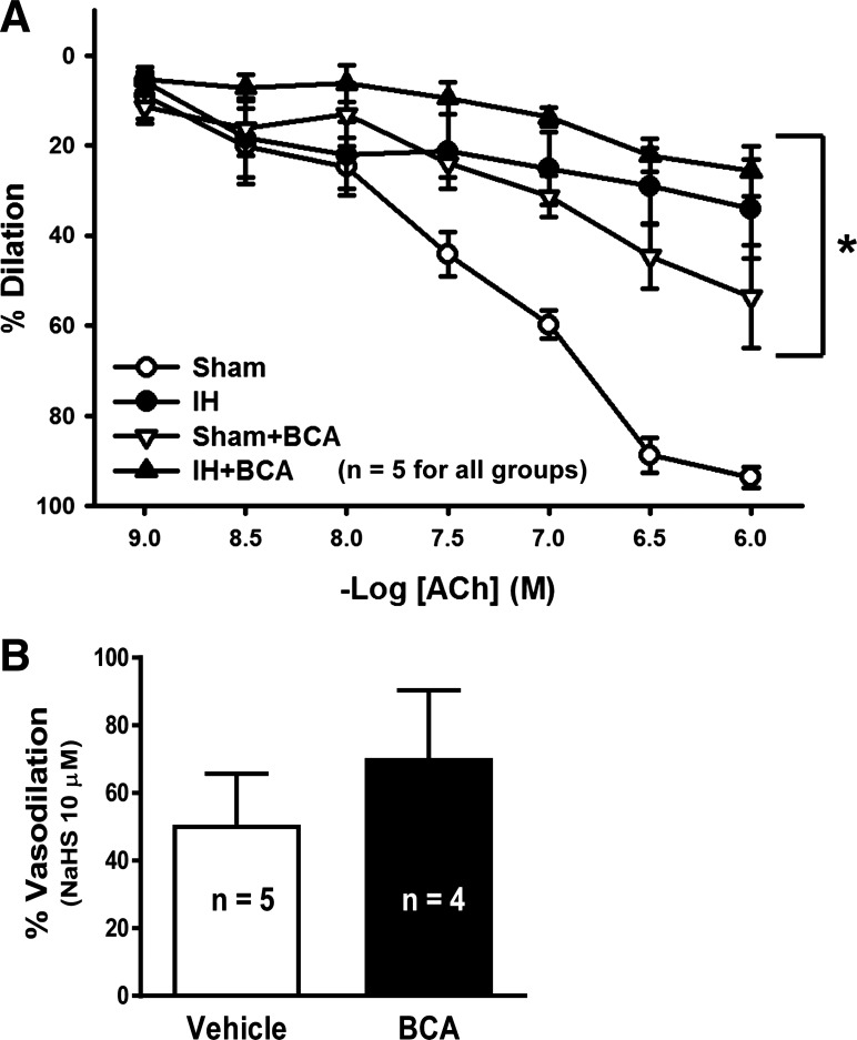 Fig. 8.