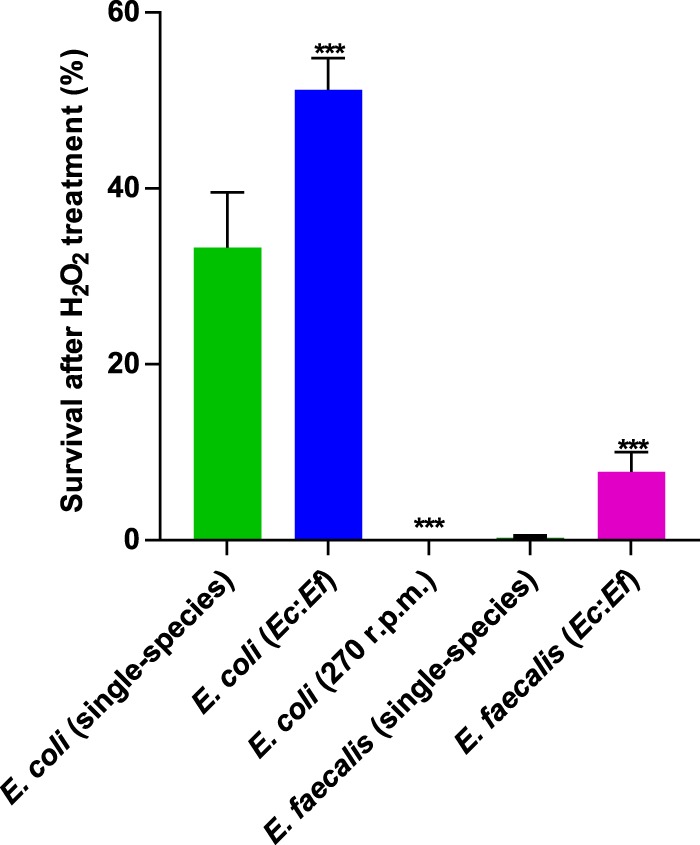 FIG 7