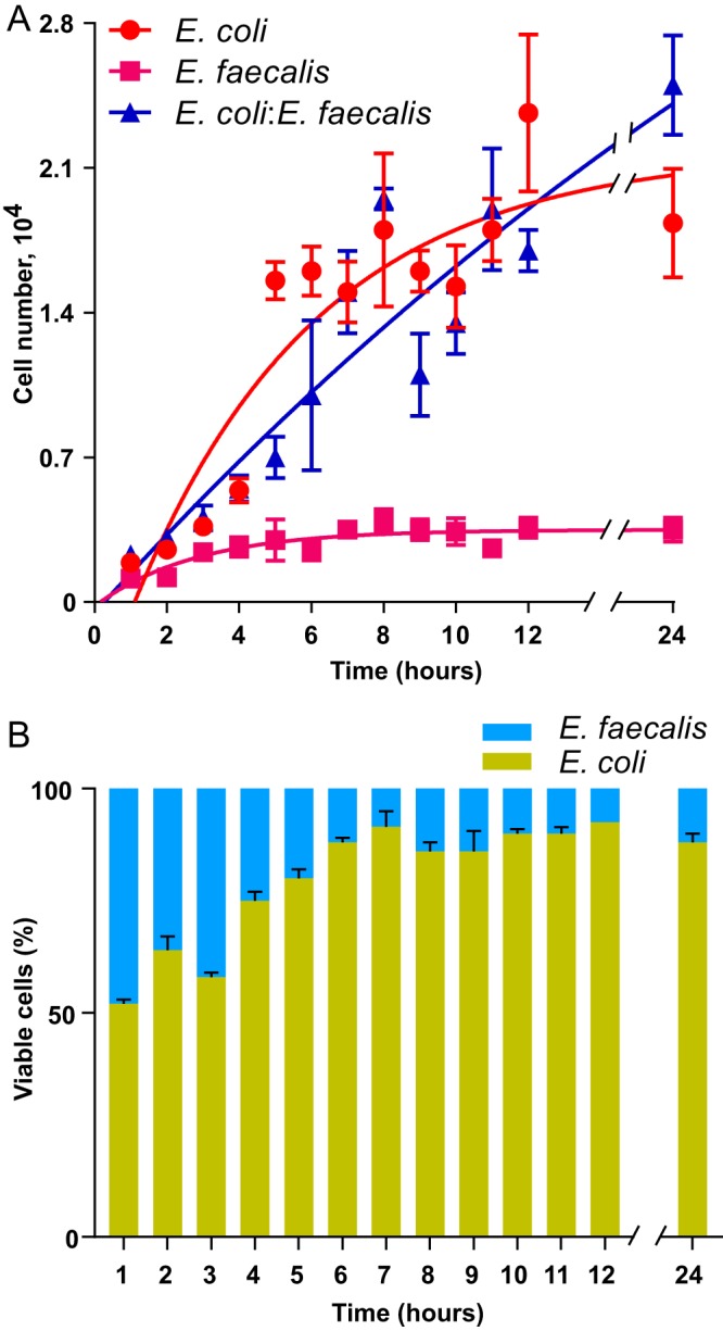 FIG 1