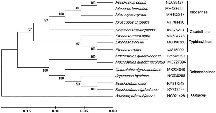 Figure 1.