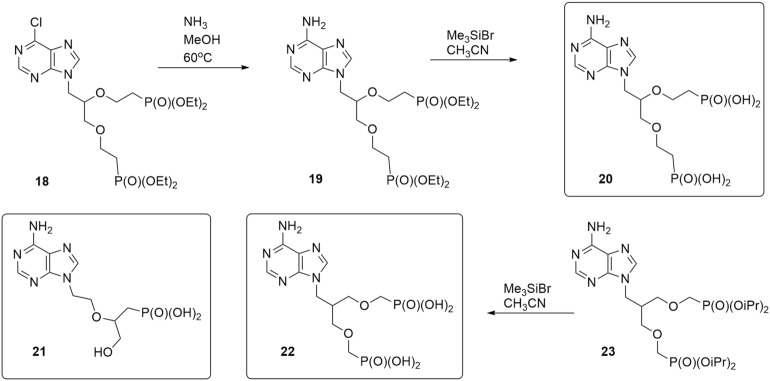 Scheme 3