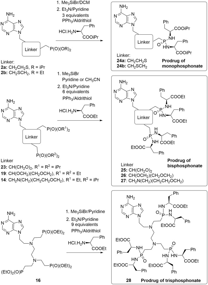 Scheme 4