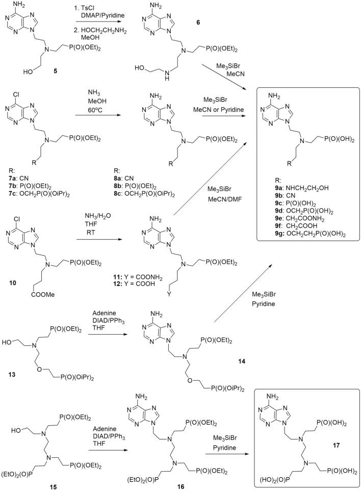 Scheme 2