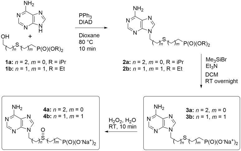 Scheme 1