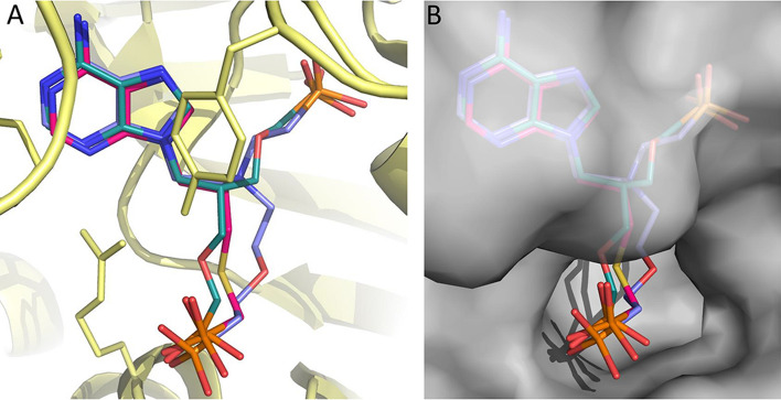 Figure 6