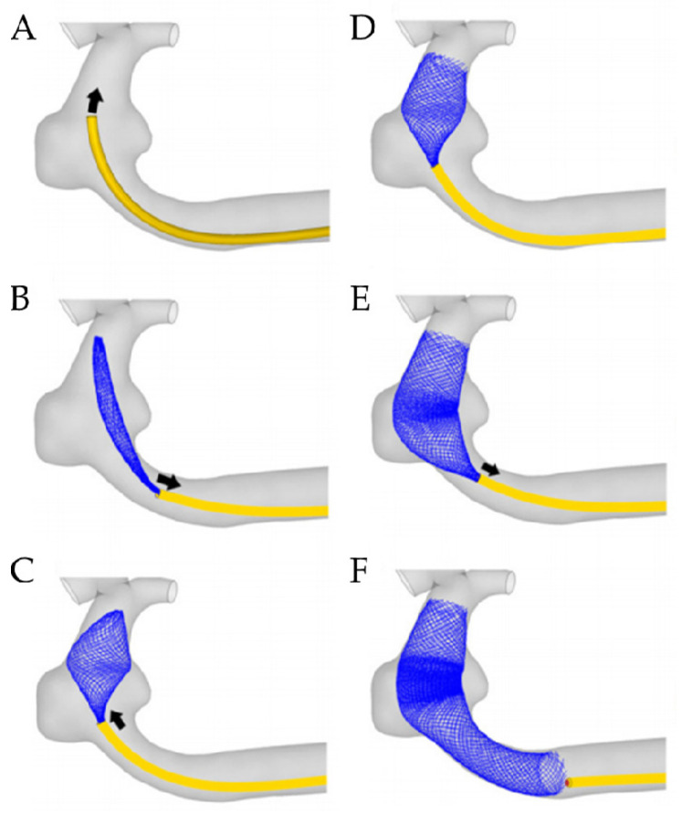 Figure 6