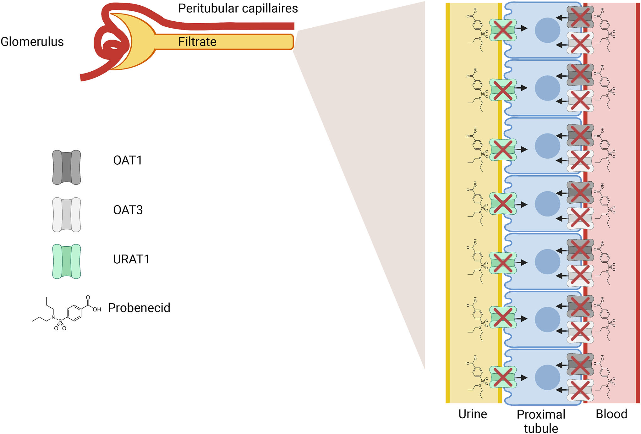 Figure 1: