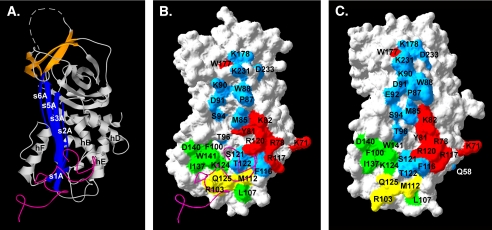 FIGURE 6.