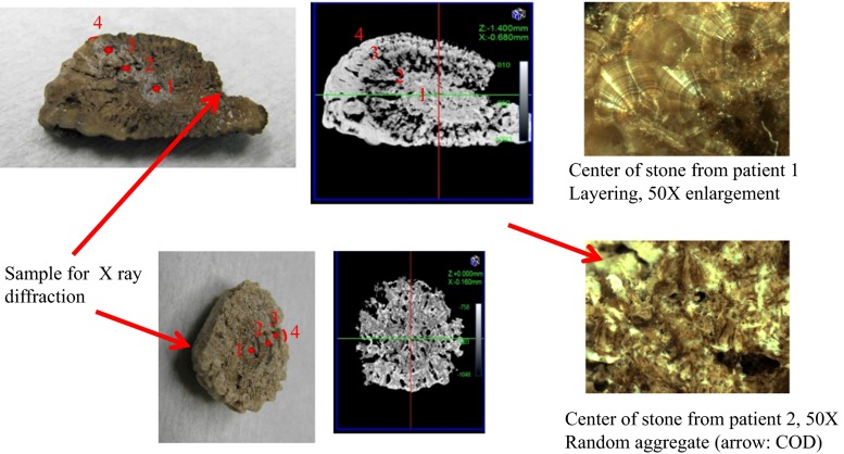 Fig. 1