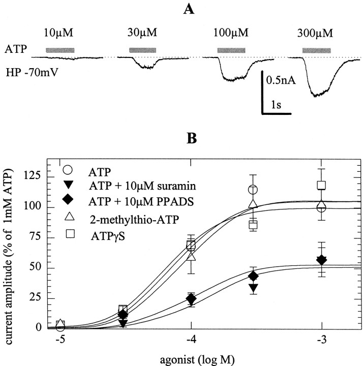 Fig. 5.