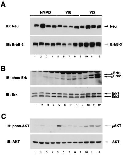 FIG. 9