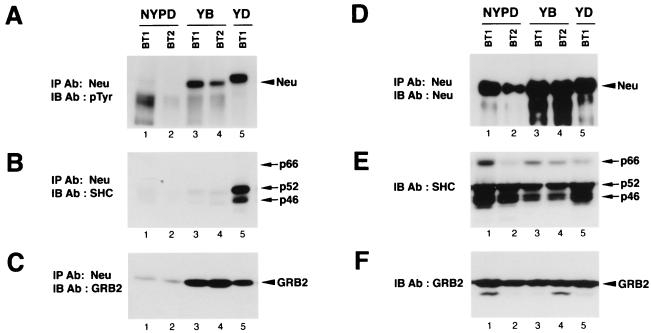 FIG. 8