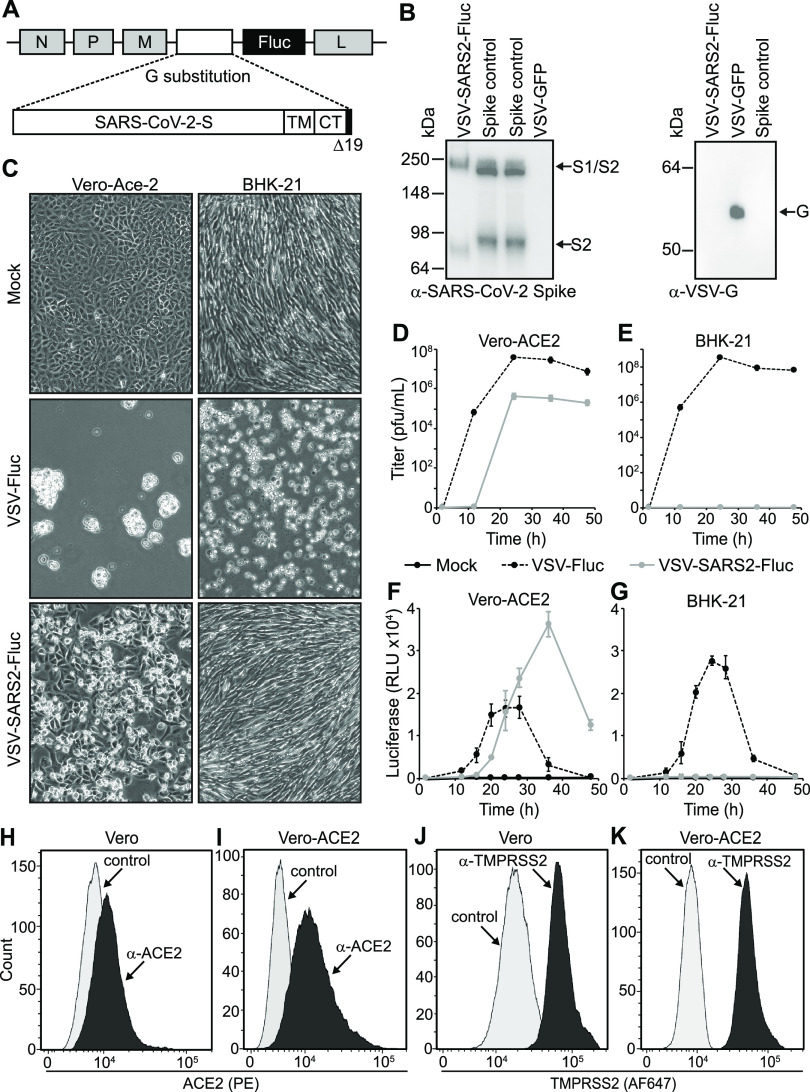 FIG 2