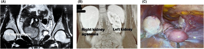 FIGURE 2