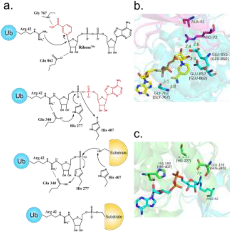 Figure 3, Key Figure