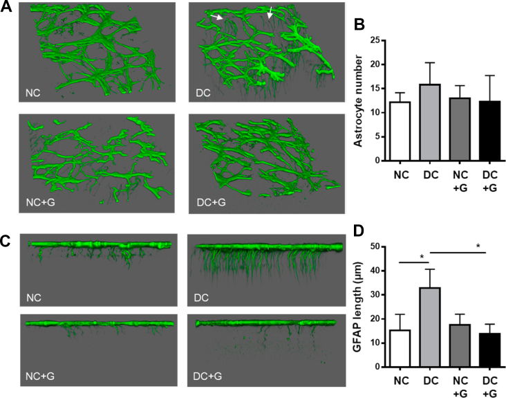 Figure 3
