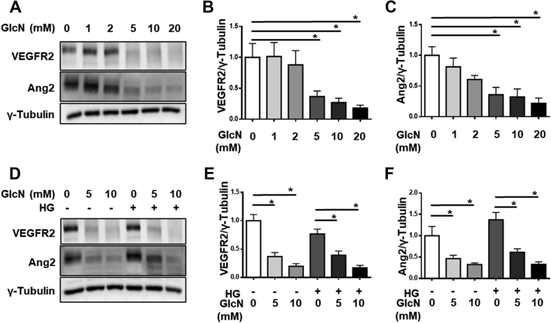 Figure 7