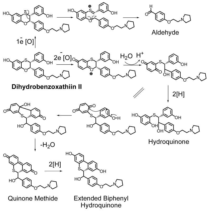 Scheme 7