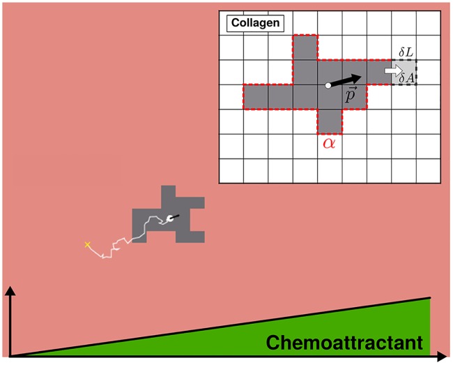 Fig 5