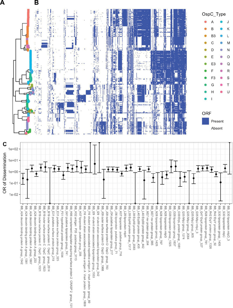 Figure 5: