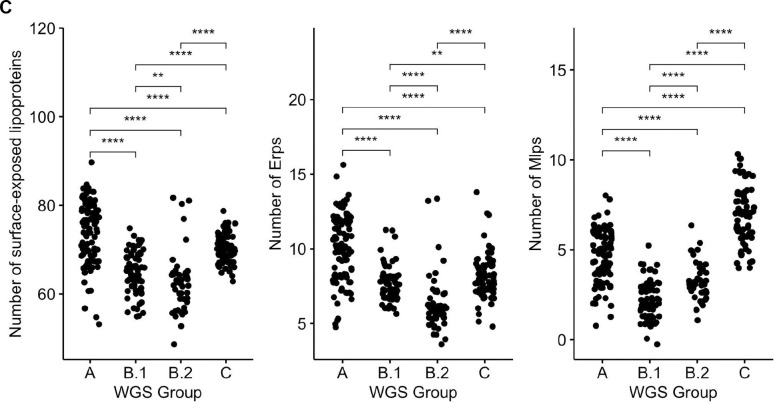 Figure 6 :