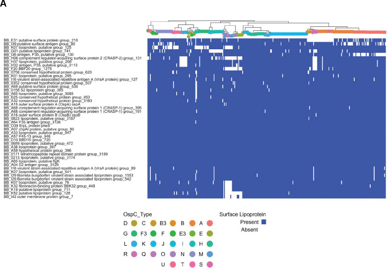 Figure 6 :