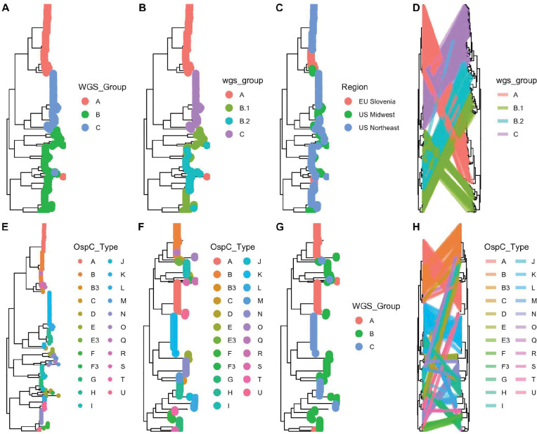 Figure 2: