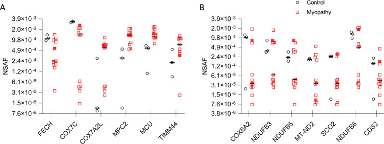 Fig. 4