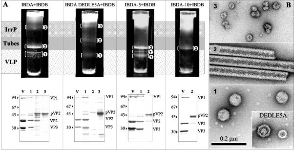 FIG. 7.