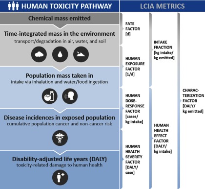 Figure 1 is a conceptual diagram having two columns. One column shows the human toxicity impact pathway which enlists the chemical mass emitted followed by the time-integrated mass in the environment, the population mass intake, the disease incidences in exposed population, and the disability-adjusted life years. The other column shows the calculation of LCIA metrics.