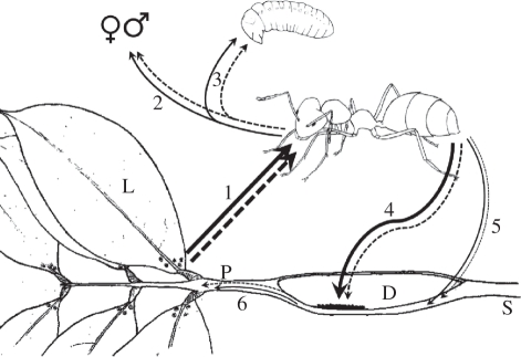 Figure 5.