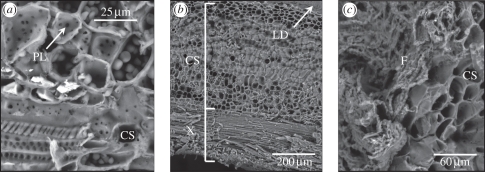 Figure 4.