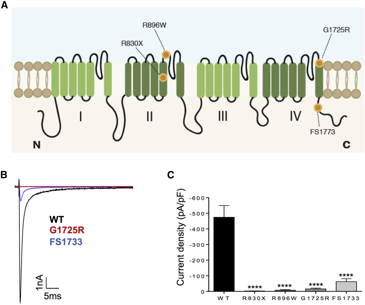 Figure 2