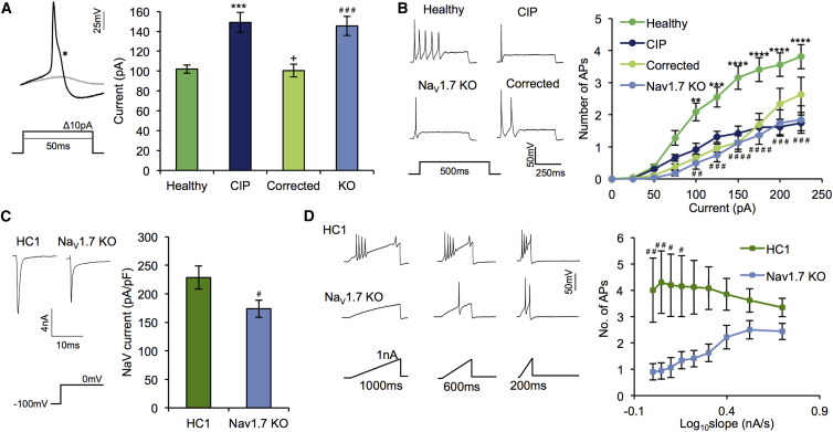 Figure 6