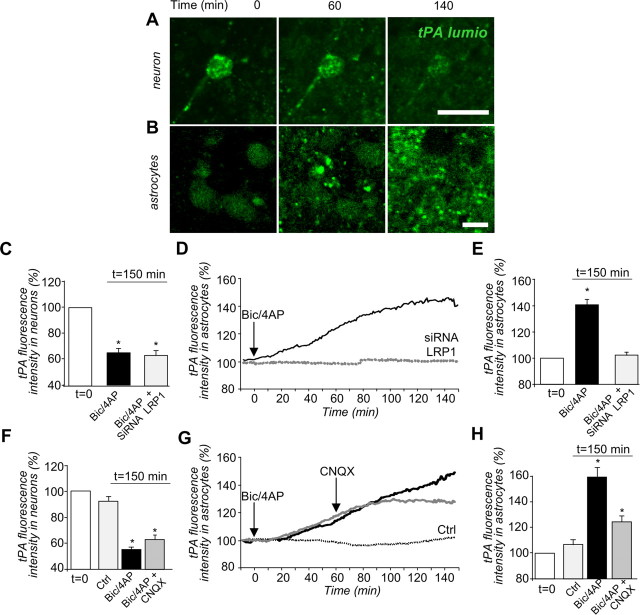 Figure 10.