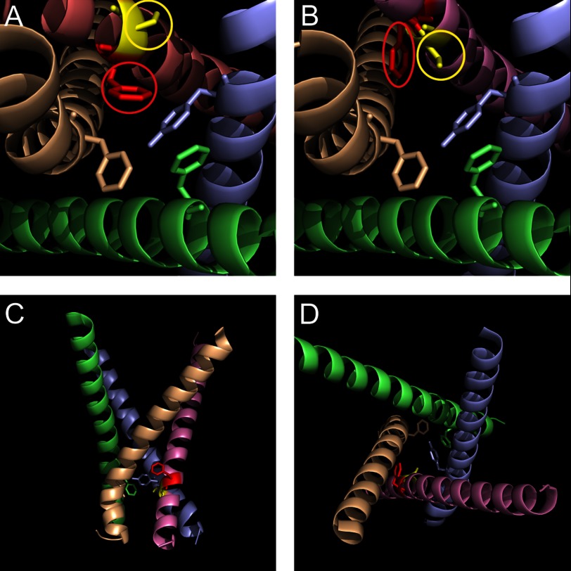 FIGURE 2.