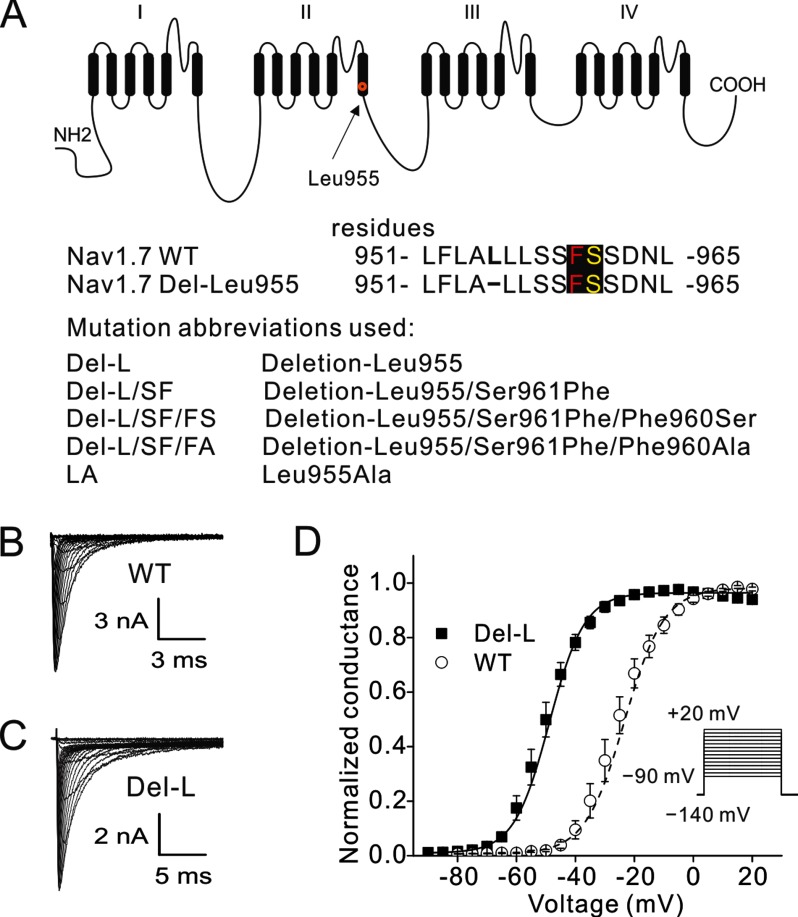 FIGURE 1.