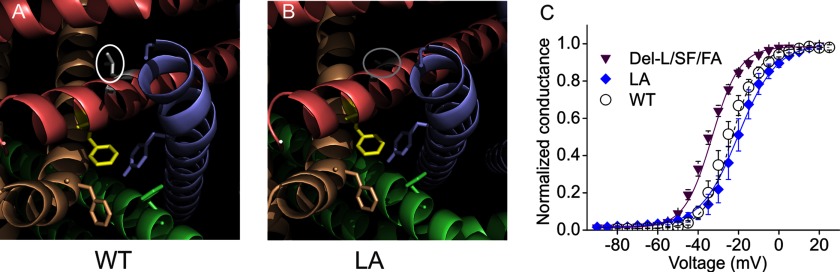 FIGURE 4.