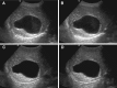 Fig. 5