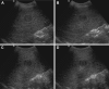 Fig. 3