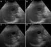 Fig. 2