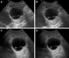 Fig. 4