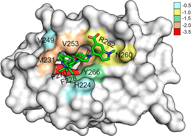 Figure 11