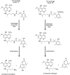 Figure 24