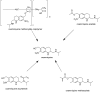 Figure 31
