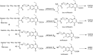 Figure 40
