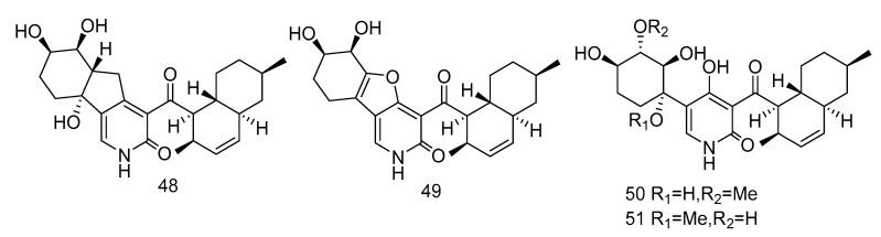 Figure 13