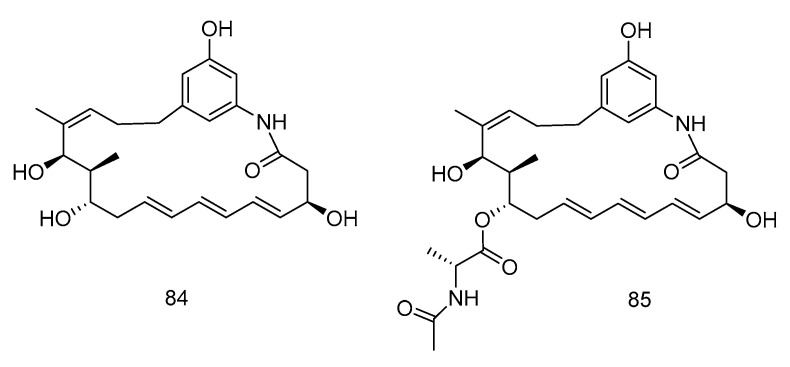 Figure 24