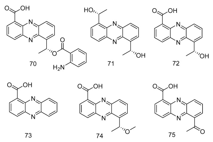 Figure 19