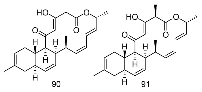 Figure 26